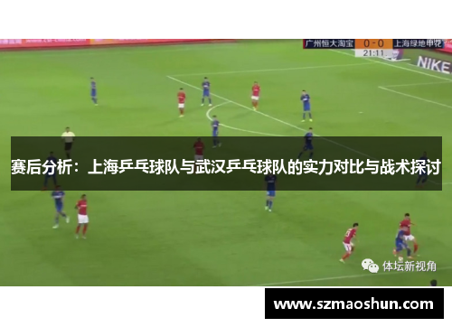 赛后分析：上海乒乓球队与武汉乒乓球队的实力对比与战术探讨