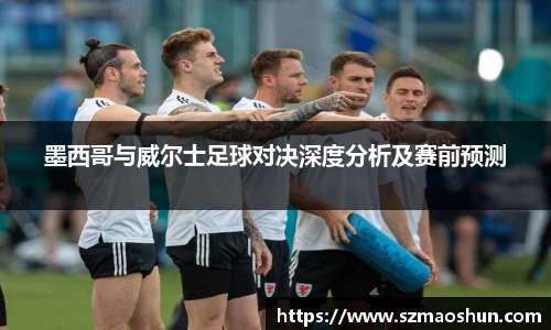 墨西哥与威尔士足球对决深度分析及赛前预测